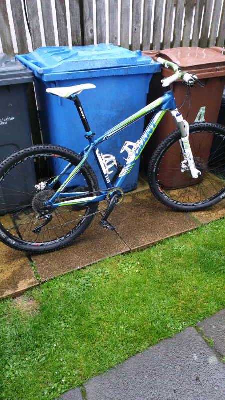 giant talon for sale